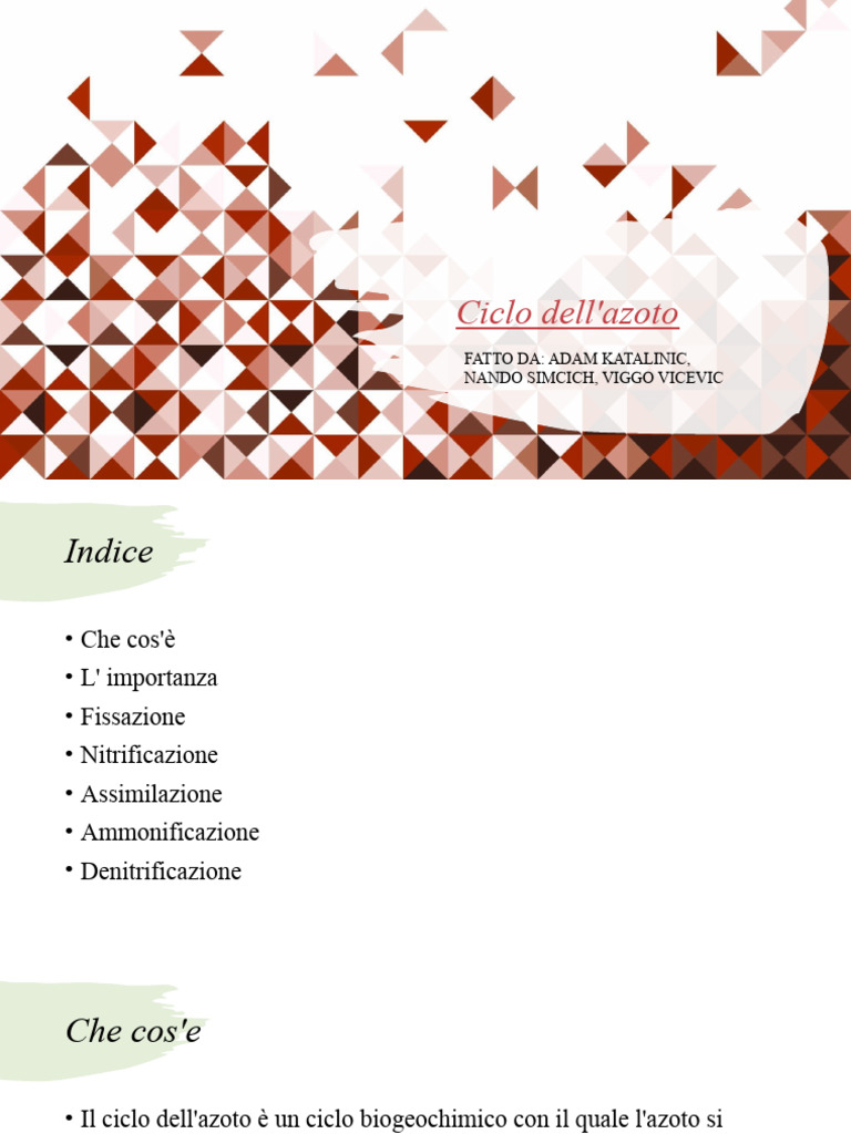 Presentation 20 | PDF