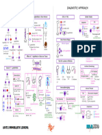 Hematology Pathology - 003) Acute Lymphoblastic Leukemia (ALL) (Illustrations - Key)