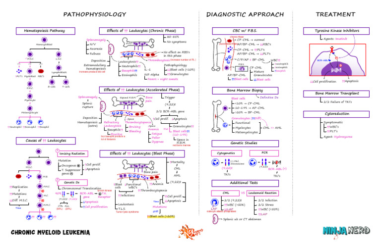 Hematology Pathology - 006) Chronic Myeloid Leukemia (CML ...