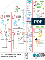 Cardiovascular Pharmacology) 08 ACE-I - ARBs - Key