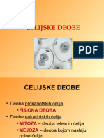 Celijske Deobe