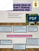 Organizador Visual de Practicas y Técnicas Utilizadas en El Perú
