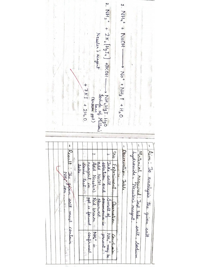 Document pdf