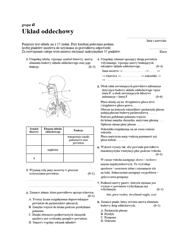 Układ Oddechowy Test Klasa 7 Test V Uklad Oddechowy | PDF
