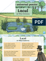 Ro2 LLR 29 Exploreaza Universul Poeziei Lacul Prezentare Powerpoint Ver 4