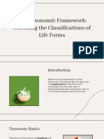 Wepik The Taxonomic Framework Unveiling The Classifications of Life Forms 20240104115413CGBi