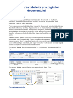 Formatarea Tabelelor Și A Paginilor Documentului