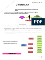 C4 Fisioterapia