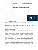 PROGRAMA - PREVENTIVO-AMBIENTE - Final