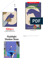 Raz lf41 Flashlightshadowshow CLR