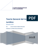 Teoría General Del Acto Jurídico