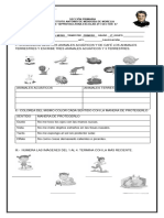 Examen Conocimiento Del Medio 1trimestre 2B