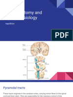 Neuro Anatomy