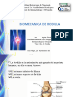 Biomecanicaderodilla 181008165351