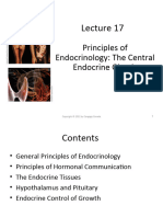 Lecture 17 - Endocrine 1