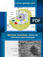 EM of Cell Parts