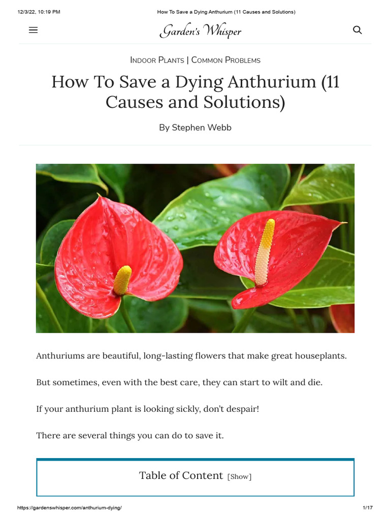 How To Save a Dying Anthurium (11 Causes and Solutions) PDF Pest Leaf