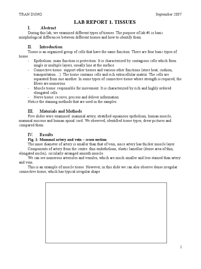 Human histology lab answers image