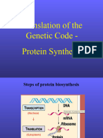 05' Protein Synthesis Animation