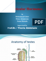 Testicular Hormones
