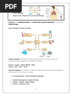 Chapter 11. Gas Exchange