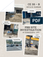 (GAINSAN) BPP SITE INVESTIGATION - Compressed