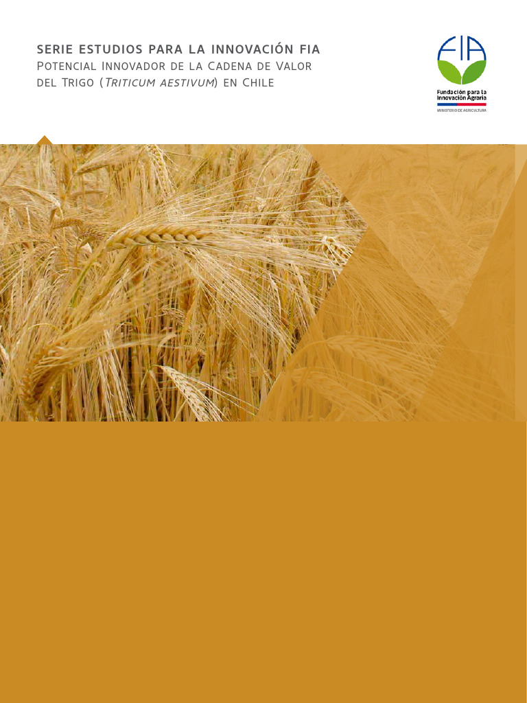 Innovación en la Cadena del Trigo en Chile | PDF | Ciencias sociales