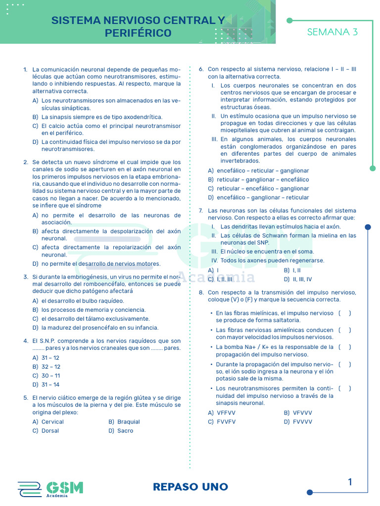 Anatomía T3 Pdf Neurona Sistema Nervioso