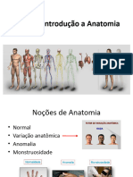 Introdução A Anatomia