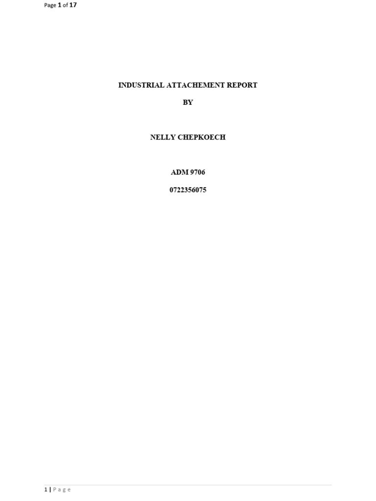 Industrial Attachment Report: Lab Technician | PDF | Business | Art