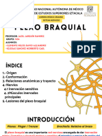 Plexo Braquial