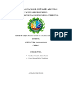 Informe - Química Ambiental