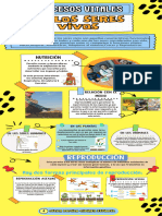 Infografía Biología Molecular Dogma Central Ilustrativo Verde - 20240114 - 155855 - 0000