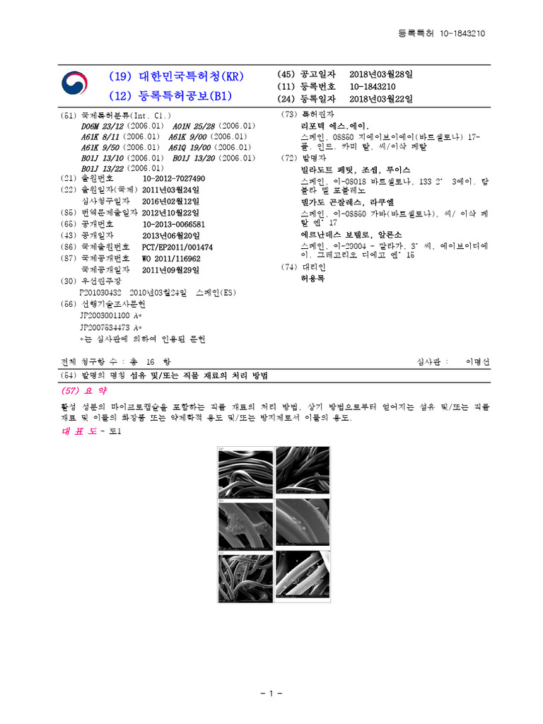 KR101843210B1 | PDF, image size:768x1024