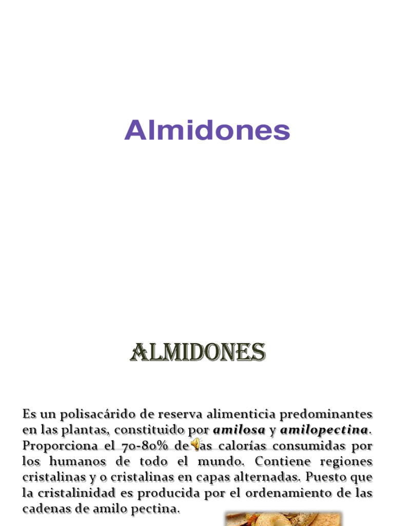 Almidón: Composición y Alimentos Clave | PDF