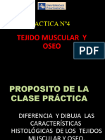 Practica Nº4 Muscular y Oseo