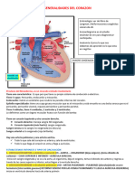 Morfo Cardio Parte 1