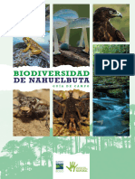 Guia de Campo Biodiversidad de Nahuelbuta FNN