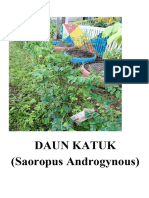 Daun Katuk