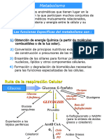 Respiracion_Celular