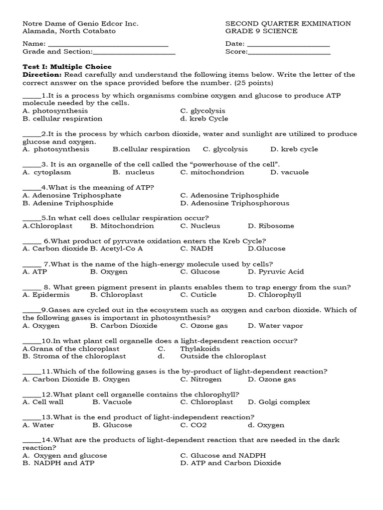 Grade 9 Science Exam: Cellular Processes | PDF | Cellular Respiration ...