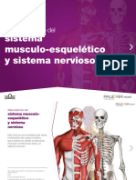M-PLX-ES-06-20-0010 Atlas Sistema Musculoesquelético