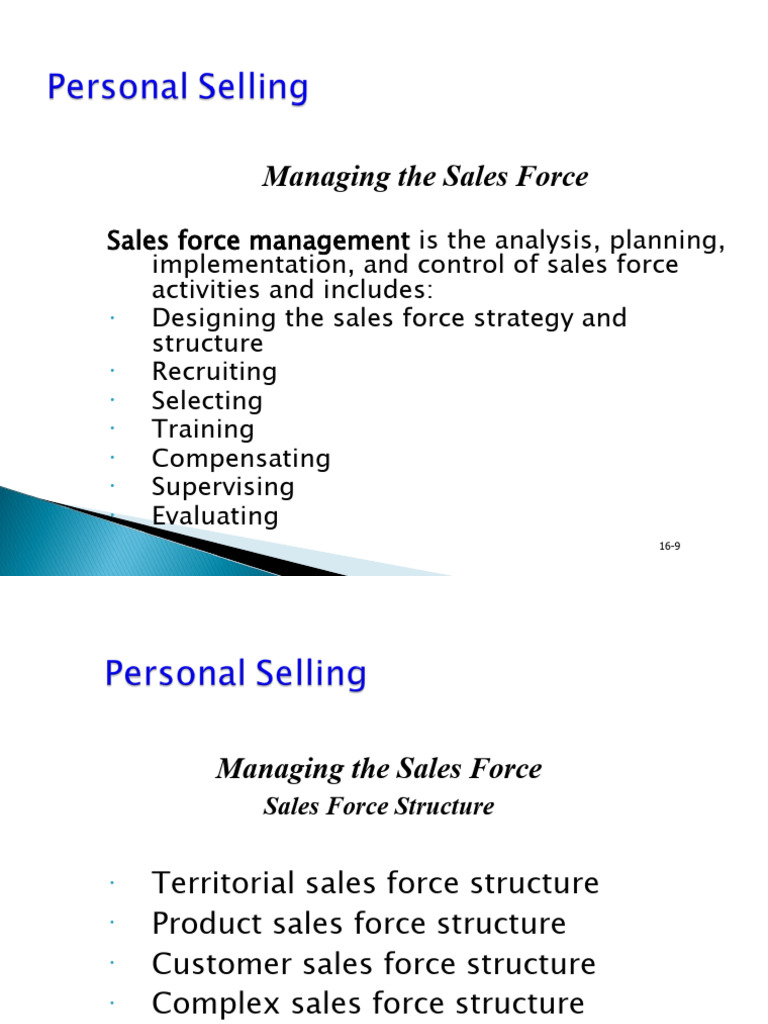 Sales Force Management | PDF | Sales | Business Process