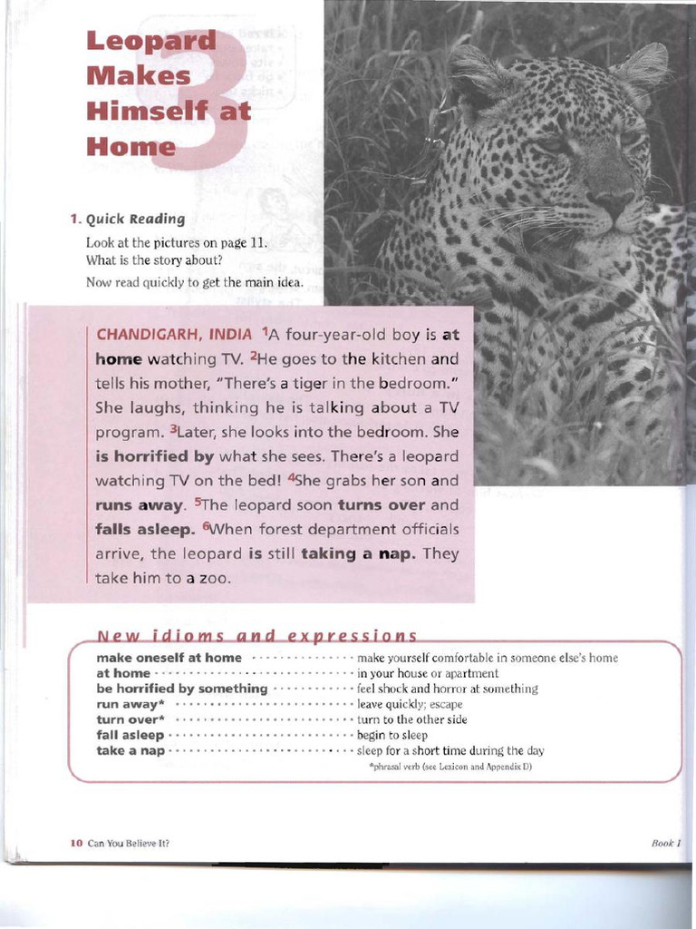 Leopard Makes Himself at Home | PDF