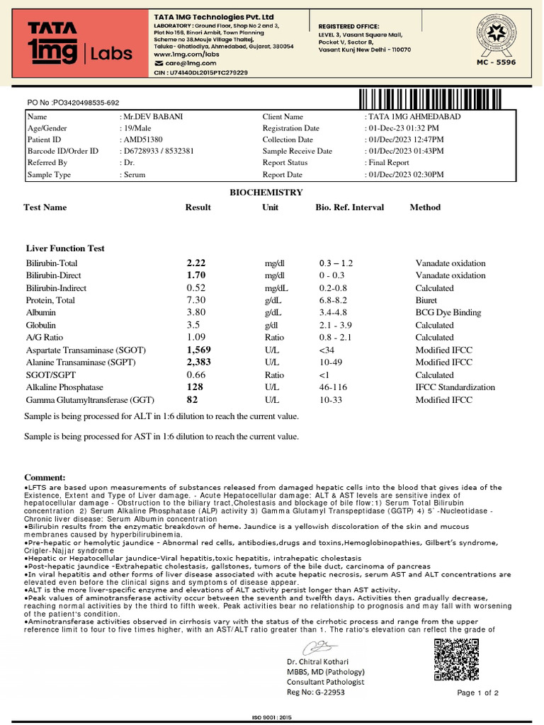 Liver Function Test Results Summary | PDF | Biotechnology | Molecular ...