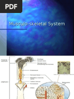 Download Musculoskeletal by simplyrosalyn SN6989560 doc pdf