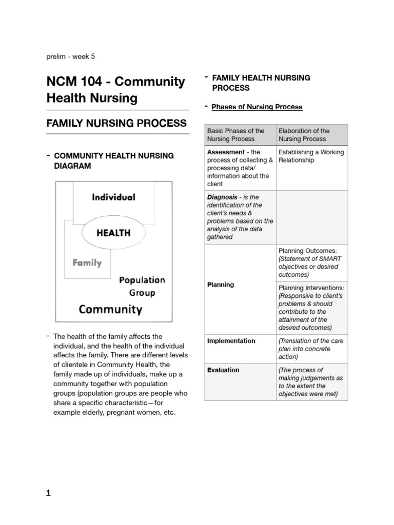 Family Nursing Process in Community Health | PDF | Nursing | Evaluation
