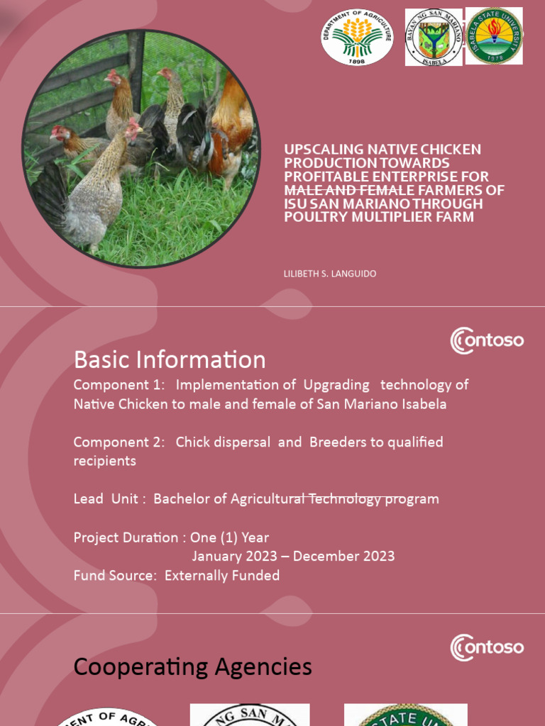 Upscalling Native Chicken | PDF | Social Science