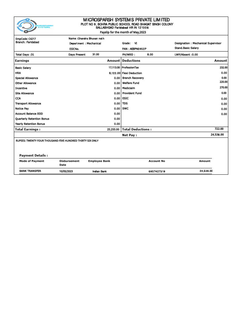 INDIAN SALARY SLIP SAMPLE visual data 2