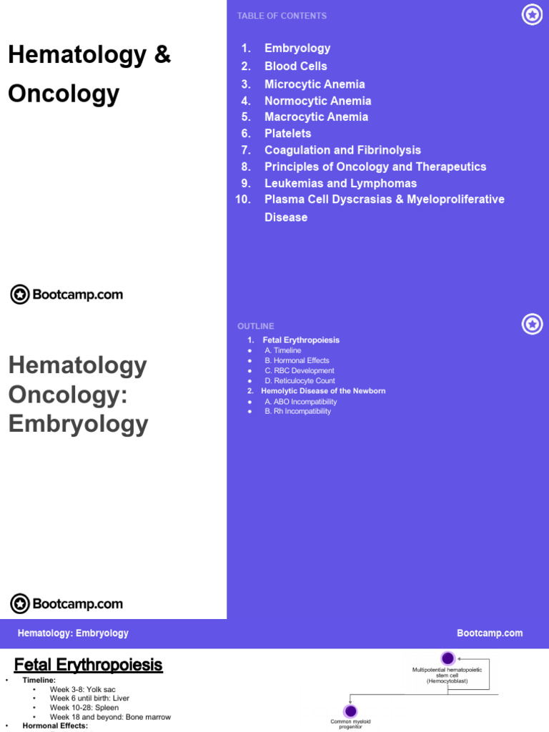 Hematology Overview and Anemia Types | PDF | Anemia | Blood Cell